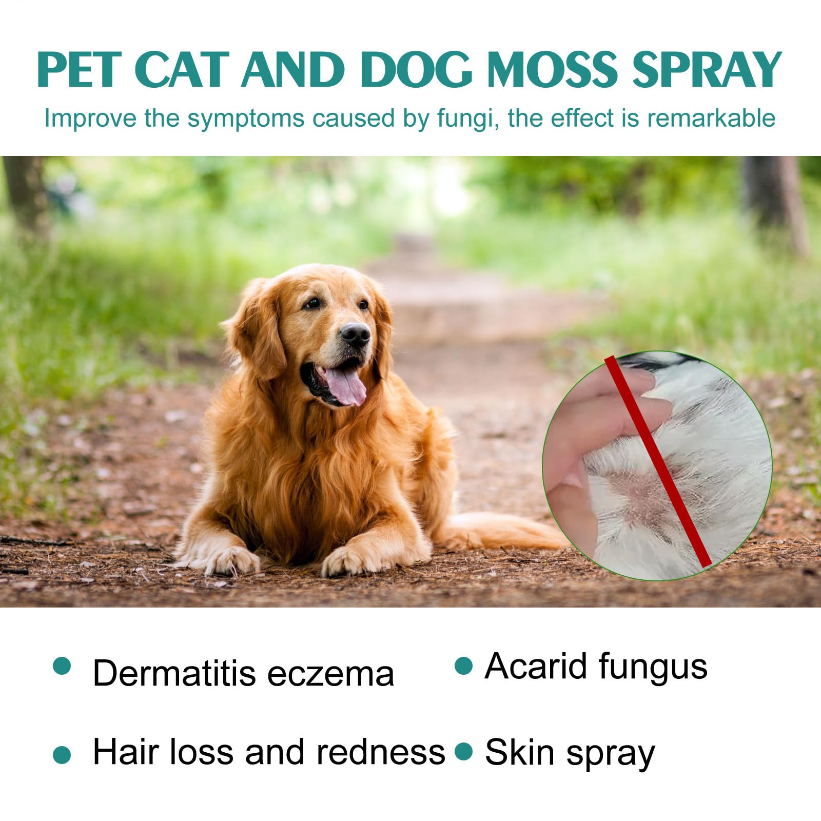 Spray Antiseptique pour Chiens et Chats,Spray de Guérison pour Animaux,Gel Soin des Plaies pour Animaux,Spray de Cicatrisation pour Animaux de Compagnie,1PC