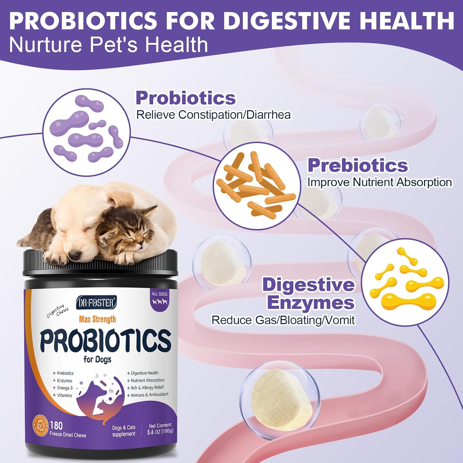 DRFOSTER Probiotics for Dogs, Freeze-Dried Dog Probiotics and Digestive Enzymes, Plus Omega-3 for Itchy Skin, Prebiotics for Digestive Health, Dog Vitamins and Supplements for Immune Health, 180 Bites - Image 2