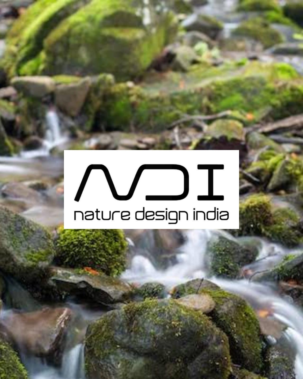 NDI Terrarium Moss, Parrot Green Creeping Wood Moss, 2x2 Inch Patch for High Humidity Terrariums 3