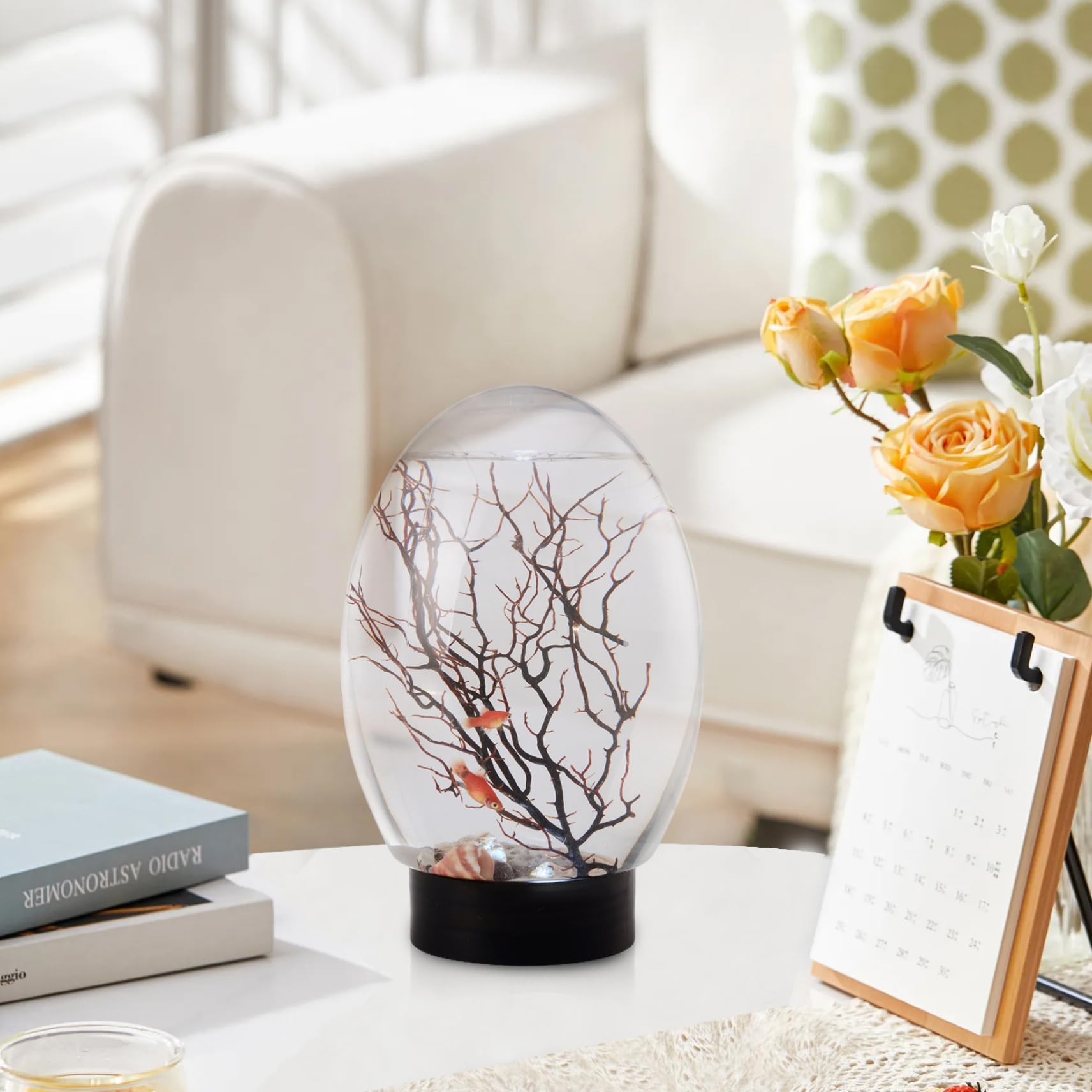 Mini Aquarium de Bureau avec éclairage LED, écosystème Autonome, Pas Besoin de Nourrir ni Changer l'eau, écosystème Aquatique fermé pour la Maison, Le Bureau, l'écosphère crevettes, la bios