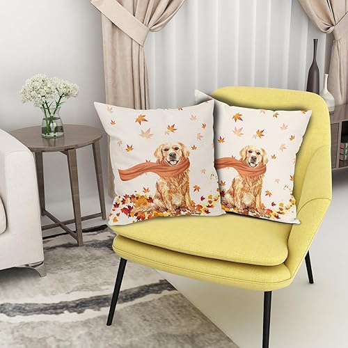 Miniatura 5 de Golden Retriever - Funda de almohada de otoño con diseño de hojas de arce para perro, diseño de casa de campo, diseño moderno de Acción de Gracias,