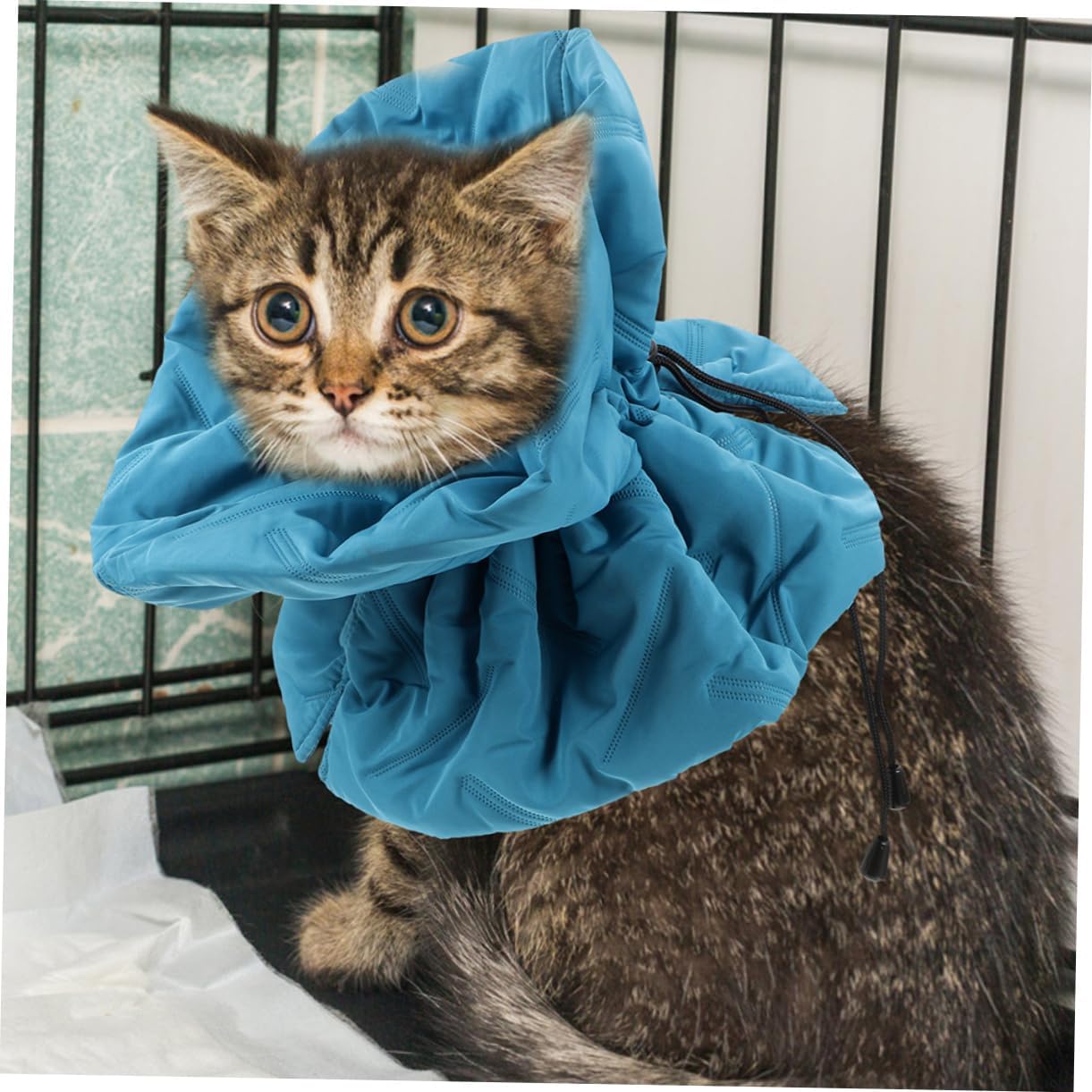 balacoo 4pcs Cat Collar Adjustable Breathable Cone for Cats Soft Elizabethan Collar to Prevent Licking After Surgery Comfortable Neck Cone for Post-Operative Healing Lake