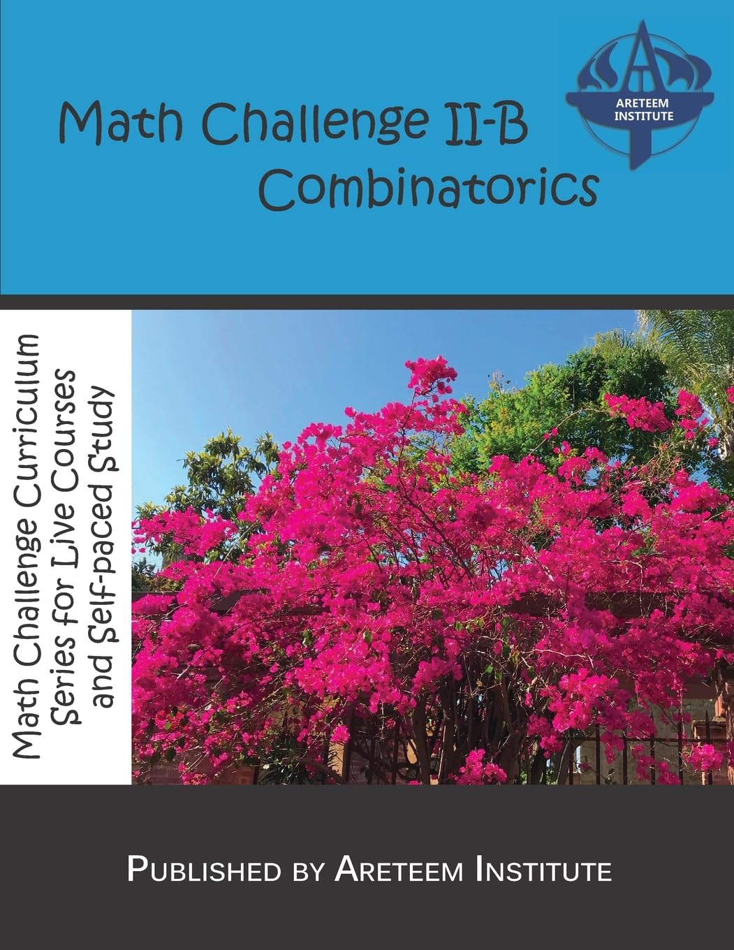 Math Challenge II-B Combinatorics (Math Challenge Curriculum Textbooks)