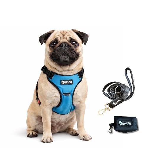 DUMPU Comfort Adjustable Dog Harness with Free Carry Bag, Padded Leash & Poop Bag Holder, Size XS, Happy Blue, Soft Padded Chest & Webbing Back, No-Pull Design, Safety Buckles, Reflective Trim