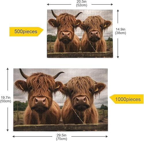 Miniatura 7 de xigua Rompecabezas de 500 piezas para adultos, divertidas vacas escocesas de ganado de las tierras altas, rompecabezas de 500 piezas encajan