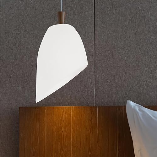 Miniatura 3 de Pantalla de bombilla de plástico con pantalla de luz, 2 piezas de pantalla de plástico blanco, pantalla única en forma de herradura y paraguas,