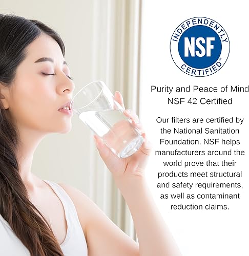 Miniatura 8 de PureT HQCBC-10-5 - Filtro de bloque de carbono de coco de 10 x 2.5 pulgadas, certificado NSF, carbón activado Cononut Shell elimina el cloro, la