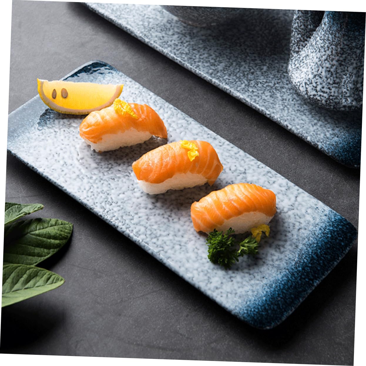 BESTonZON 1pièce Plateau à Sushi Service Pratique Pour Apéritifs Dîners Familiaux Et Restaurants Design Réutilisable Et
