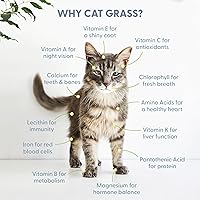 Vista 6 de Kit de cultivo de césped para gatos de The Cat Ladies - Semillas orgánicas, tierra y envases libres de BPA (sin OGM) - Todas nuestras semillas son