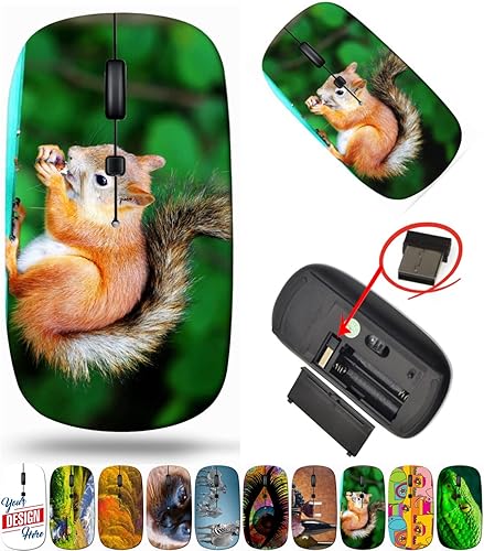 Vista 19 de maizi Ratón inalámbrico para computadora portátil, Chromebook, inalámbrico. Ratones 26282309 Ardilla roja en birdh 2.4G portátil con receptor USB