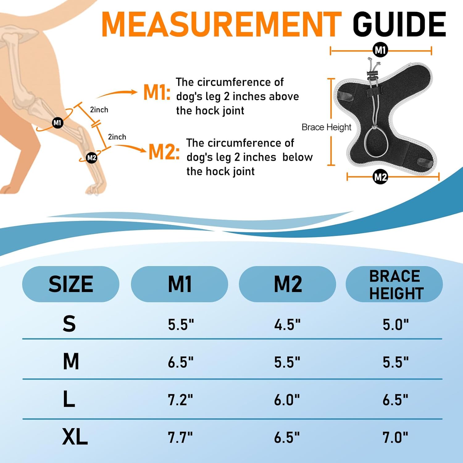 Supet Knuckling Brace for Dogs, Comfortable Foot Splint, Ankle Brace Back Leg for Toe Dragging Cause by Myelopathy, Sciatic Nerve Insufficiency & Herniated Disc, Black M