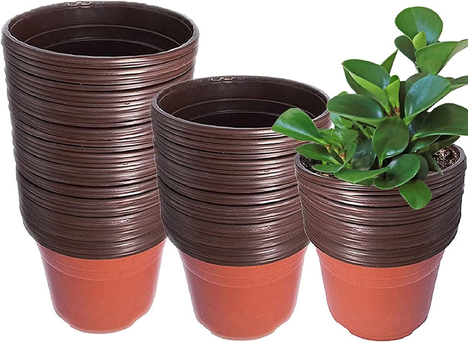 Plastic Planter Nursery Seedlings Pots - 3 Inches 100Pcs Flower Plant Container Seed Starting Pot for Outdoor Succulents Seedlings Cuttings Transplanting