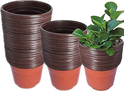 Macetas de plástico para plantas de semillero, 3 pulgadas, 100 unidades, contenedor de plantas de flores, maceta de inicio para suculentas al aire