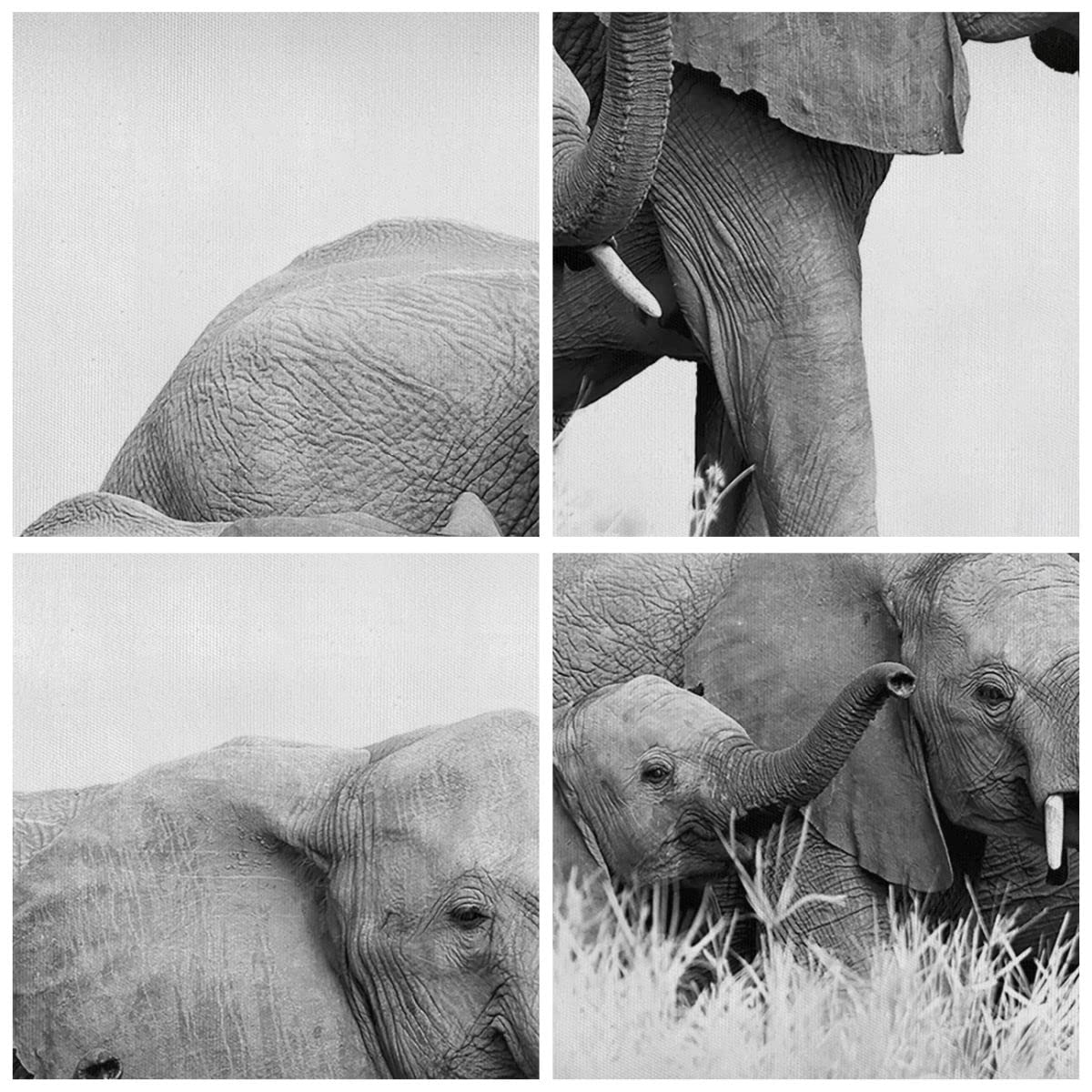 Animal Elefante Colorido Cuadro Sobre Lienzo 5 Piezas Arte Sin Marco 150 X 100 Cm Cuadros Modernos Impresión De Imagen Artística- Cuadros Decoracion Salon Grandes Cuadros Para Dormitorios Modernos