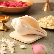 Pujashree Natural Blowing Shankh| Traditional White Conch Shell For Puja And Other Rituals | Invokes Positive Vibrations | Cleanses Aura Medium