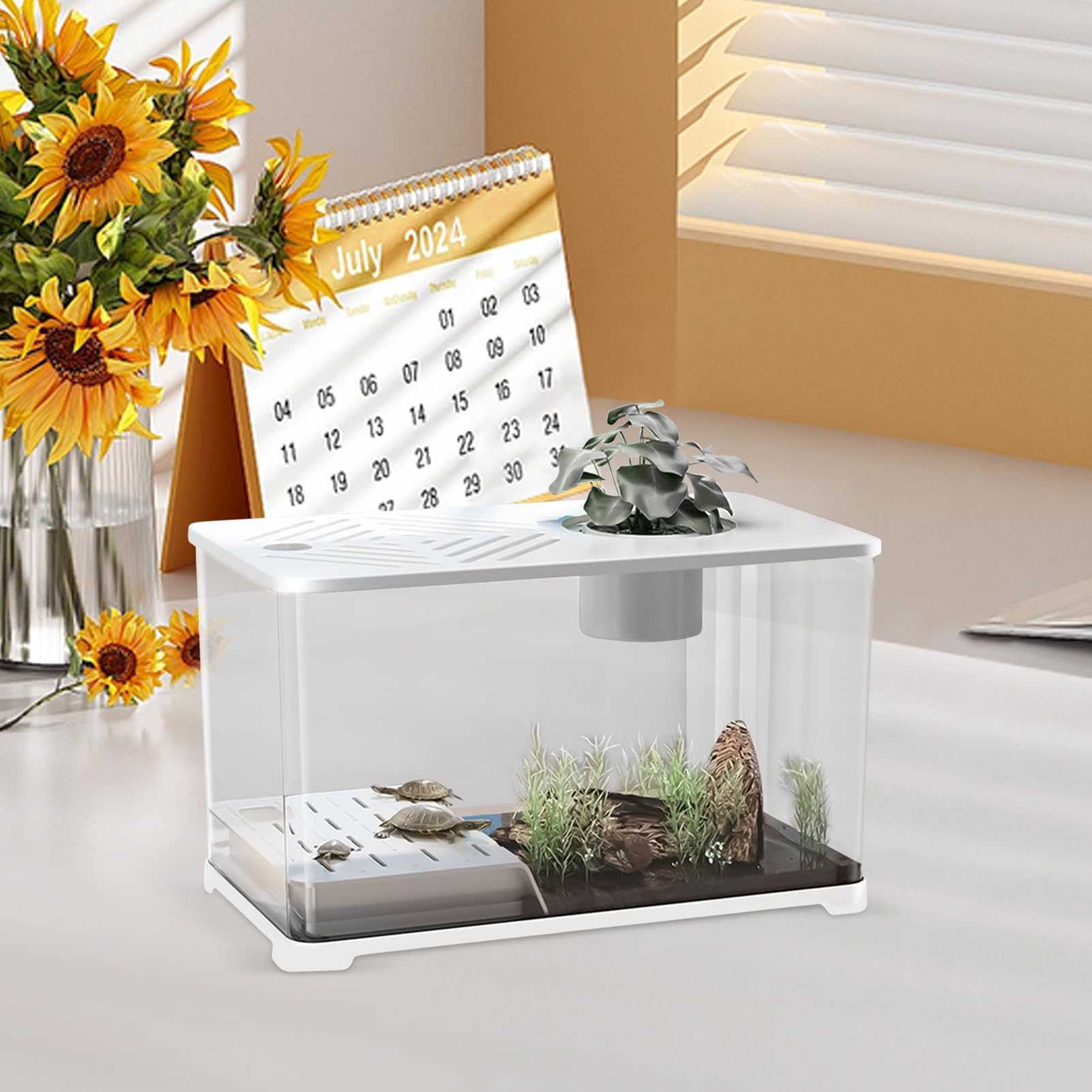 View 3