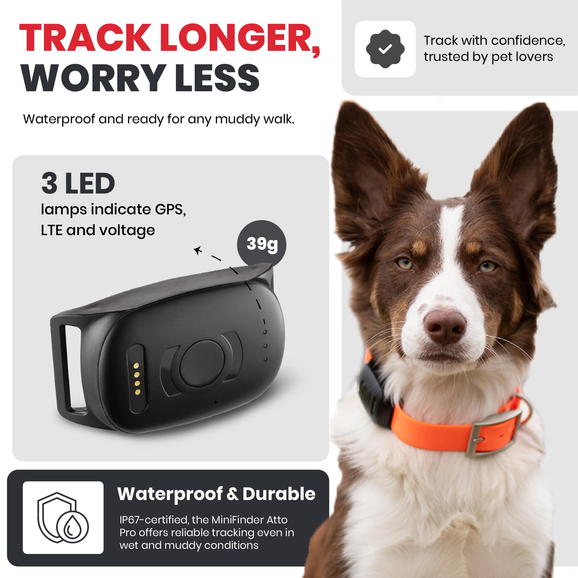 MiniFinder Localizzatore GPS per cani. Per tutte le razze di cani. 100% impermeabile. Lunga durata della batteria. Portata illimitata.