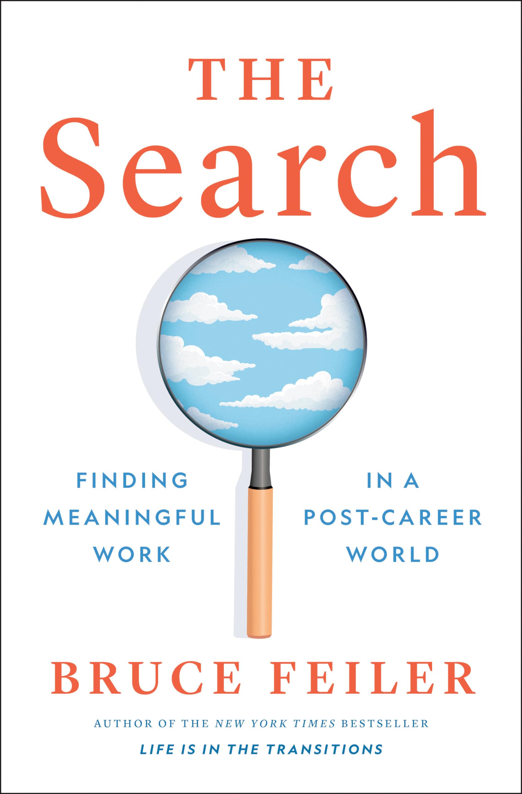 Search : Finding Meaningful Work in a Post-Career World by Bruce Feiler ...