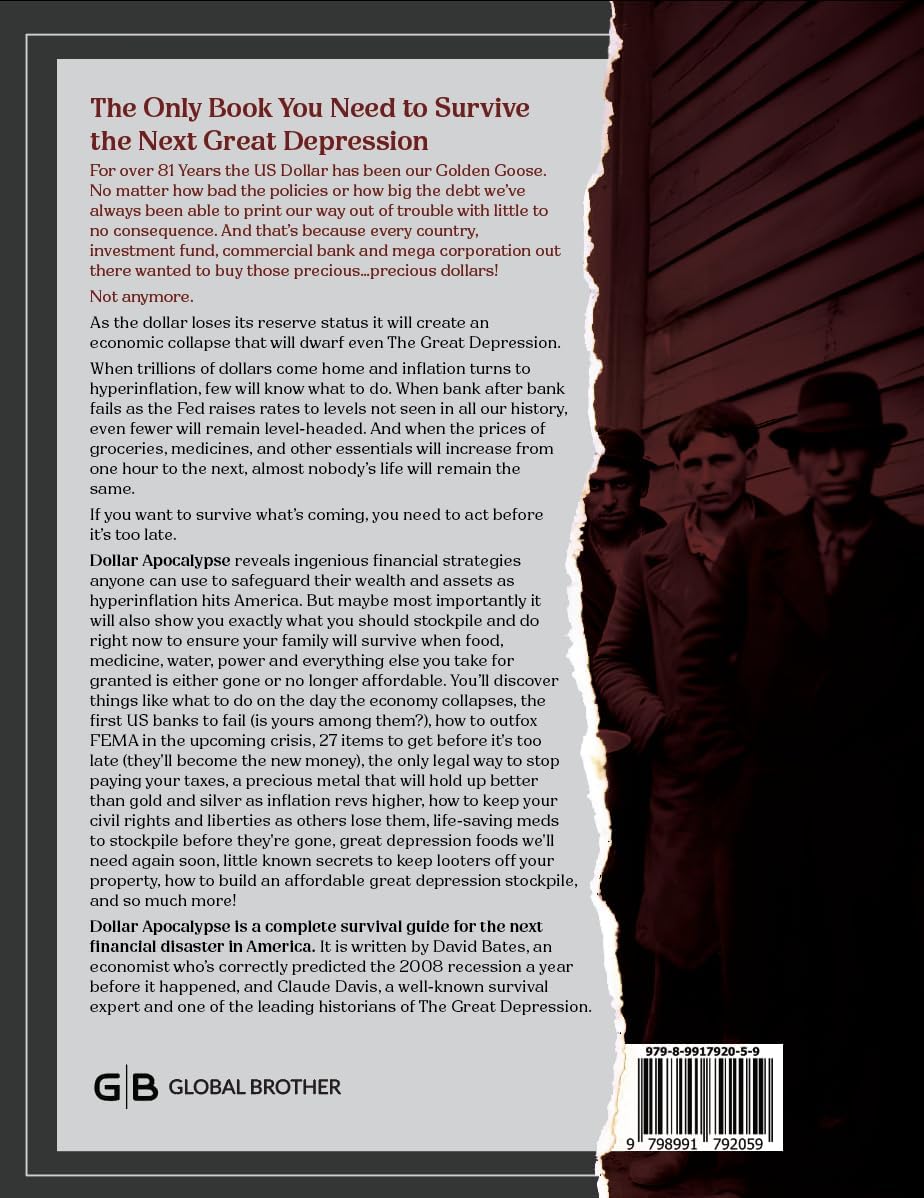Dollar Apocalypse: Survival Guide for the Next Great Depression      Paperback – June 17, 2025