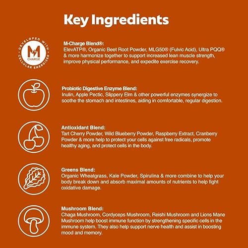 Miniatura 9 de Steve Harvey's L'Evate You Vitality Daily Greens en polvo, sabor original (28 porciones), 30 superalimentos, 9 verduras, para un impulso de energía