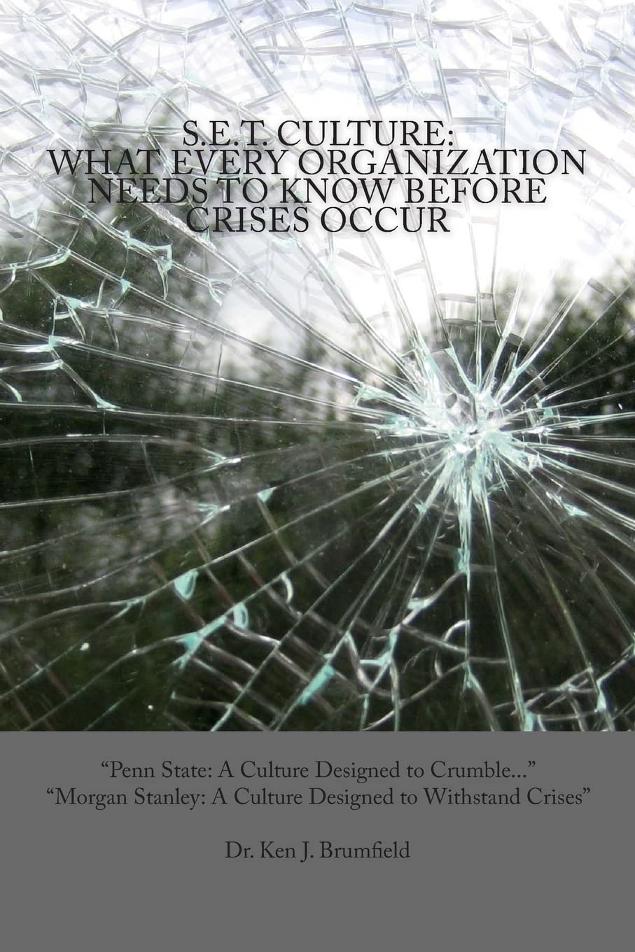 S.E.T. Culture: What Every Organization Needs to Know Before Crises Occur