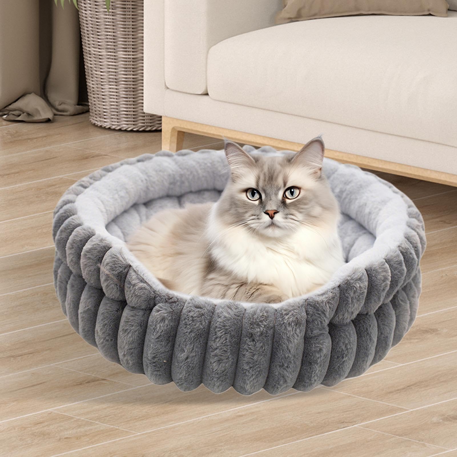 Katzenbett Betten für Hauskatzen