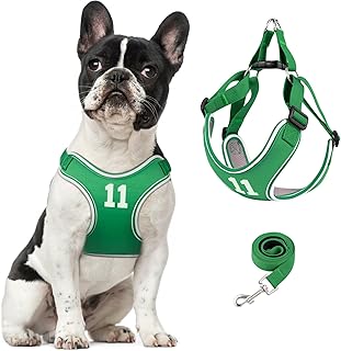 Dog Harness and Leash Set, Adjustable Step in Pet Vest Harness Soft Easy Walk, No Chock Puppy French Bulldog Harness for Small Medium Dogs