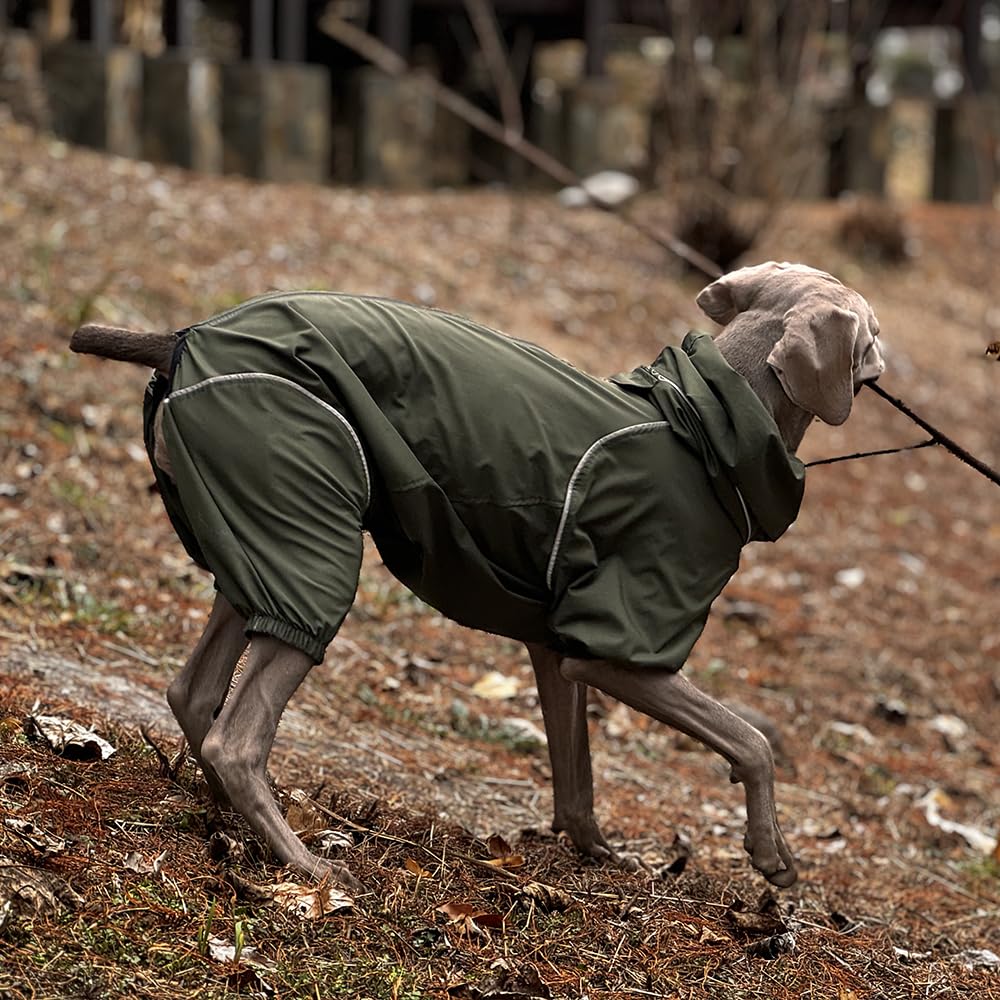 Windjacke, leicht, für Hunde, Mantel mit Beinen, mit Kapuze, Loch für Leine, reflektierend, kompakt – Dunkel Olivgrün-XL (Rüde)