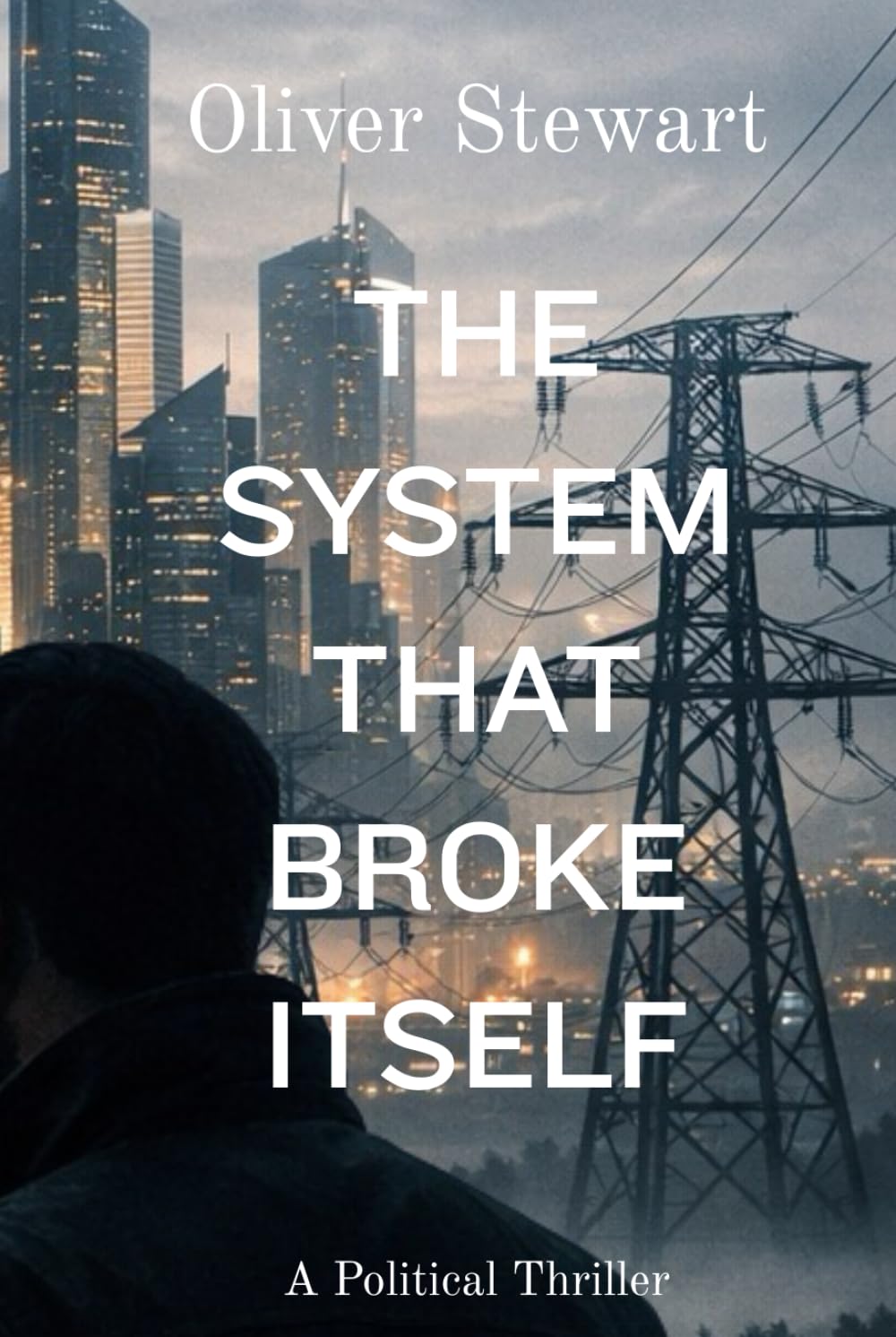 The System That Broke Itself: A Political Thriller