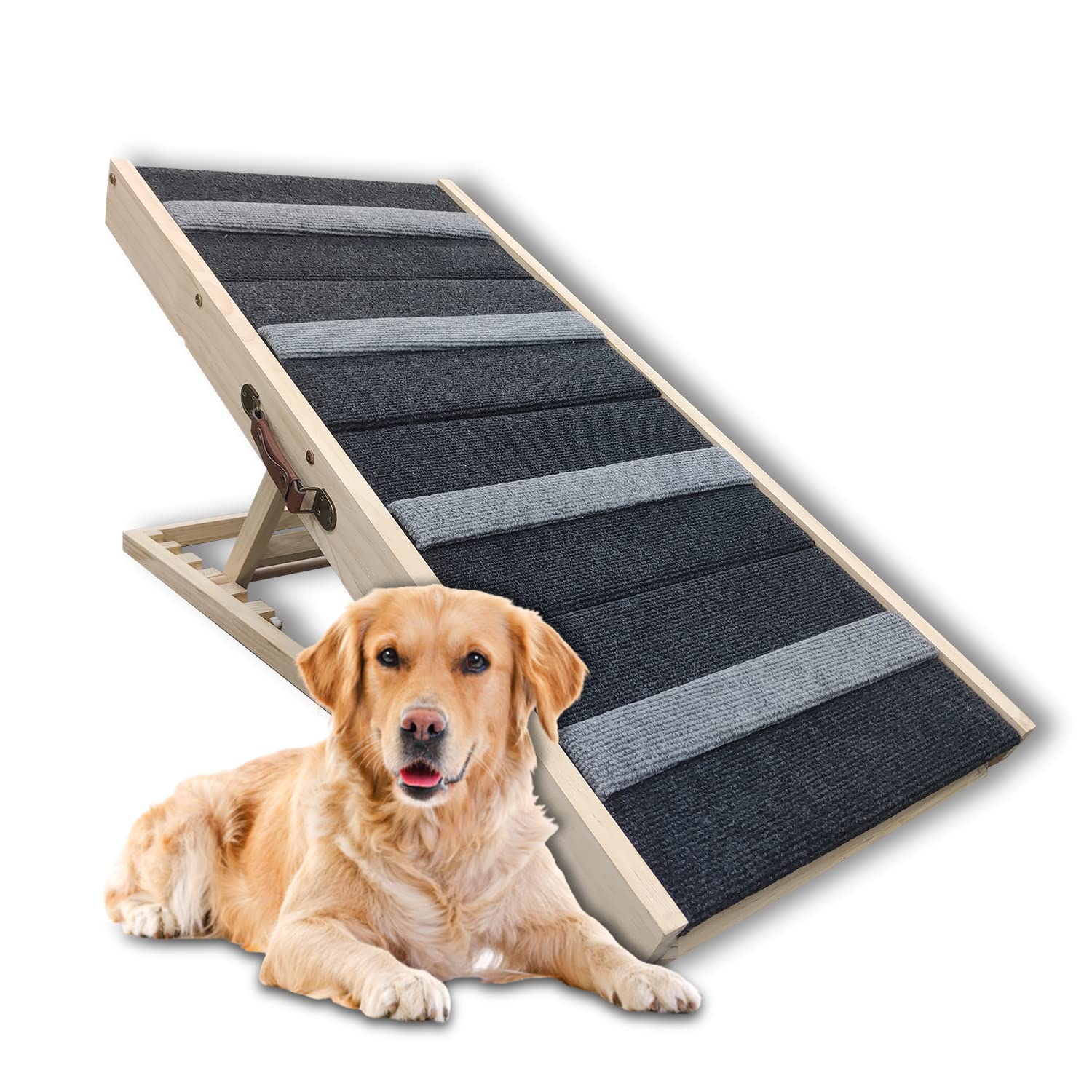 Camas Como EnseÃ±ar A Un Perro A No Subirse Al Sofa Animal Como Hacer