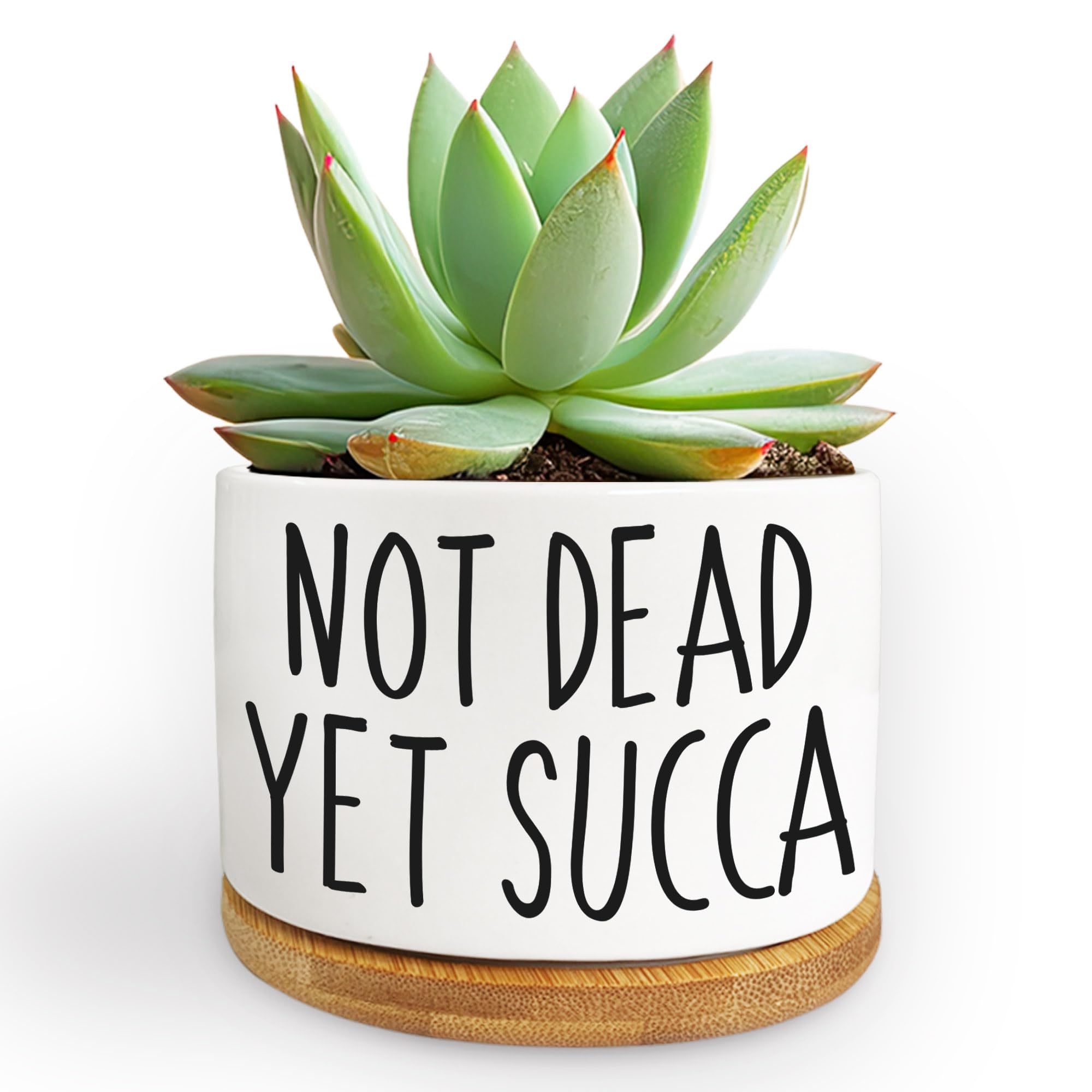 Kwtzkuo® Not Dead Yet Succa - Funny Small Succulent Cactus Planter, 3.5 inch Small Plant Pot with Drainage Hole, Home Office Windowsill Pot Decor