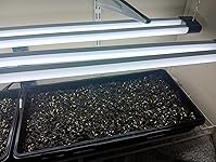 Review Image by Roy Sanford