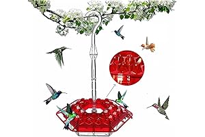 Sherem Hummingbird Feeders: Petal-Shaped Oasis for Aerial Beauties
