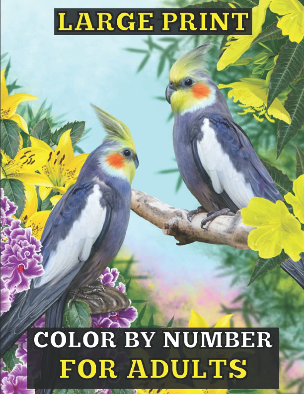 Large Print Color By Number For Adults: An Adult Coloring Book Featuring Fun, Easy and Relaxing Designs (Coloring book)