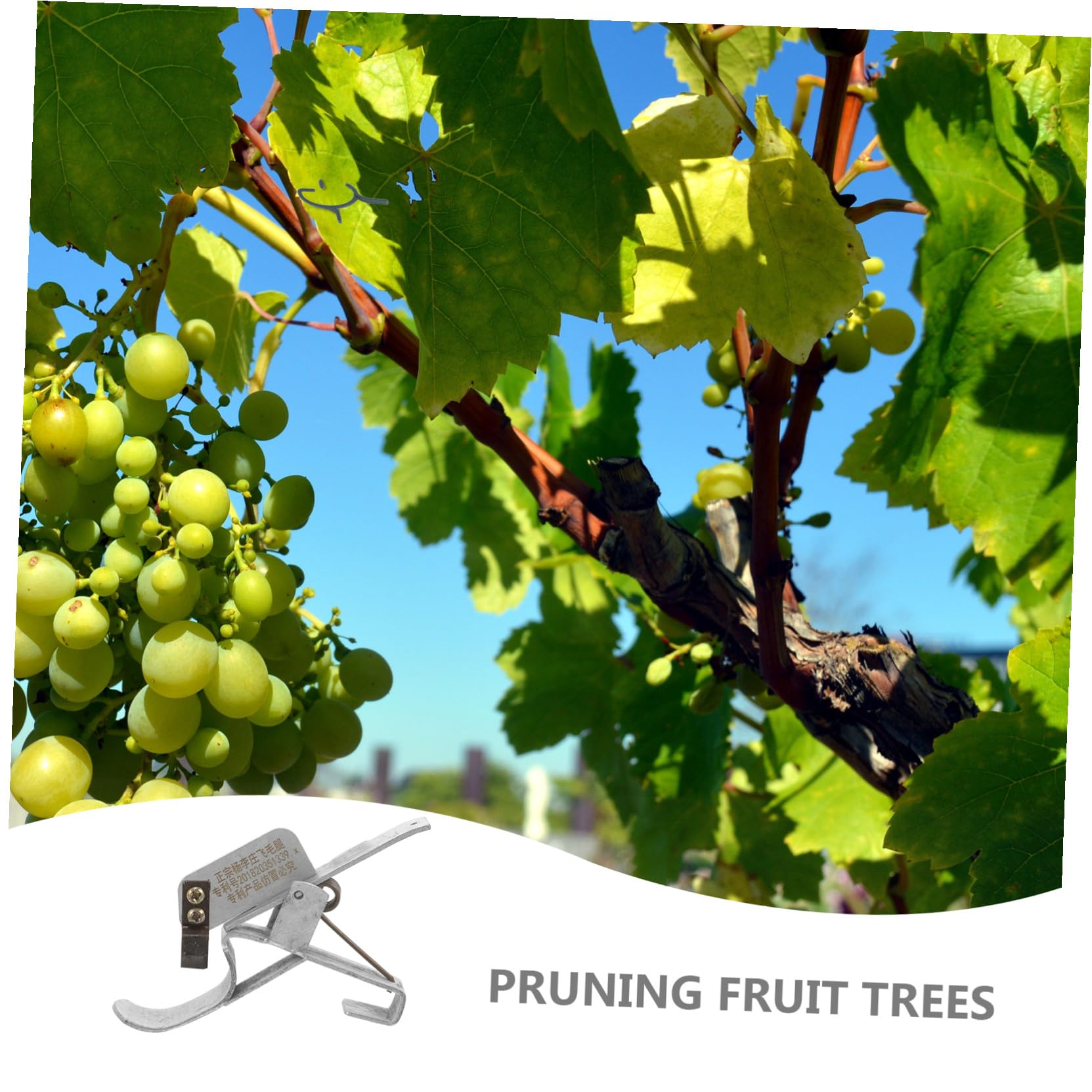 SHINEOFI 5 Pezzi Strumento Multifunzionale per Rimozione Corteccia e Potatura da Attrezzatura per Giardinaggio per Sbucciatura e Giardino