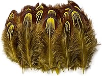 Vista 12 de 50 piezas de plumas de plumaje de faisán natural de 2-3 pulgadas, plumas de plumaje para costura, manualidades, ropa, accesorios decorativos - azul