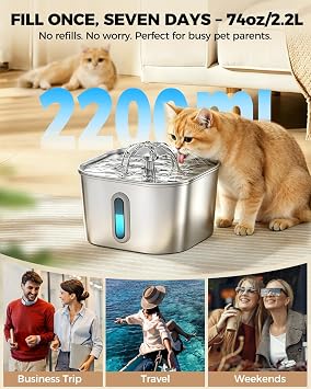 Cat Water Fountain For Drinking Stainless Steel 2.2L with 3Filters&3Sponges