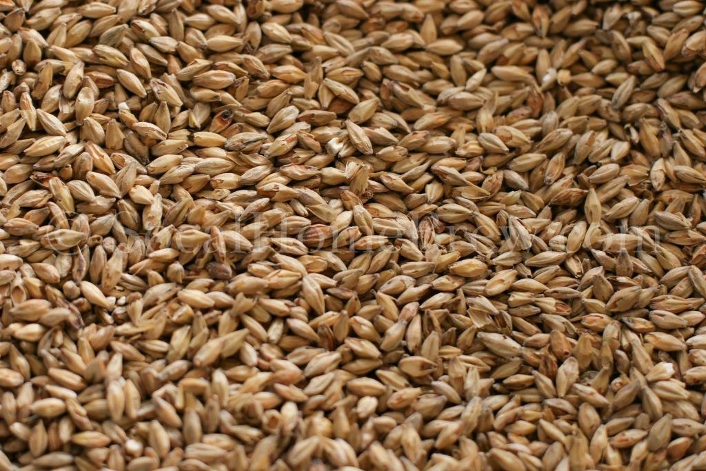 Gambrinus G10030 Honey Malt (10 Lb)