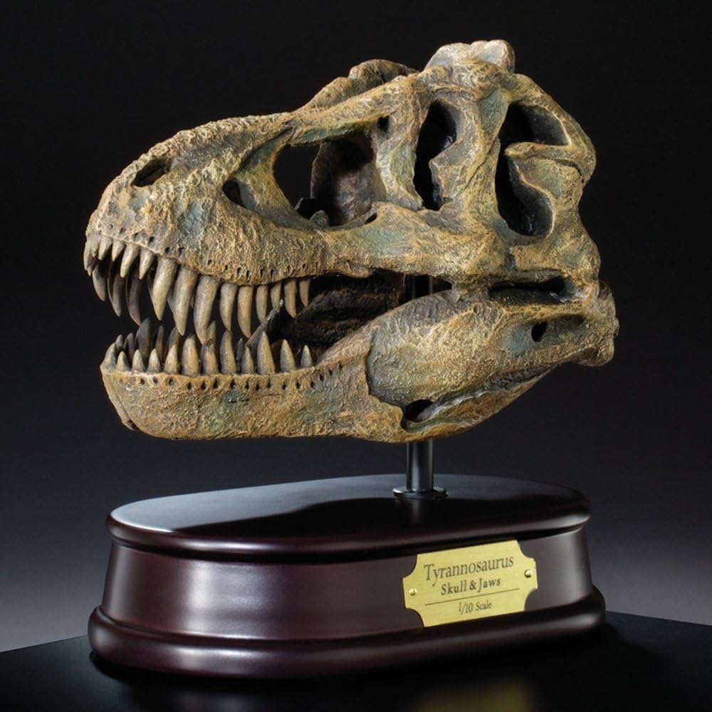 Tyrannosaurus Rex Skull Model 1/10 Scale