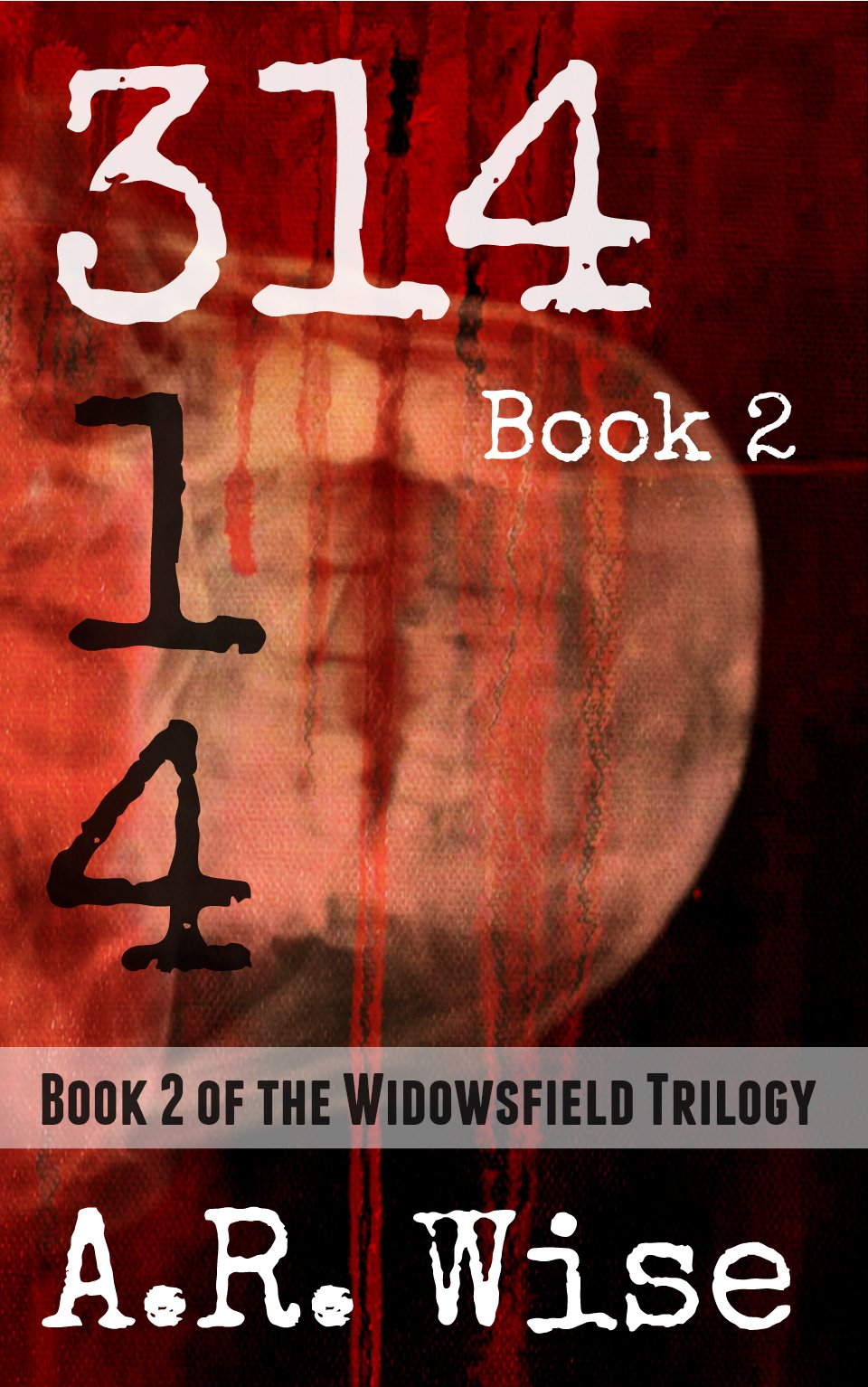 314 Book 2 (Widowsfield Trilogy)