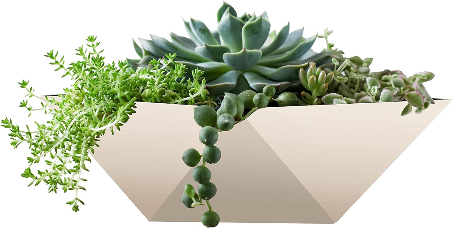 The HC Companies 8 Inch Deco Faceted Plastic Succulent Bowl - Unique Decorative Indoor Planter with Drainage Hole, Vanilla Bisque (Pack of 2)