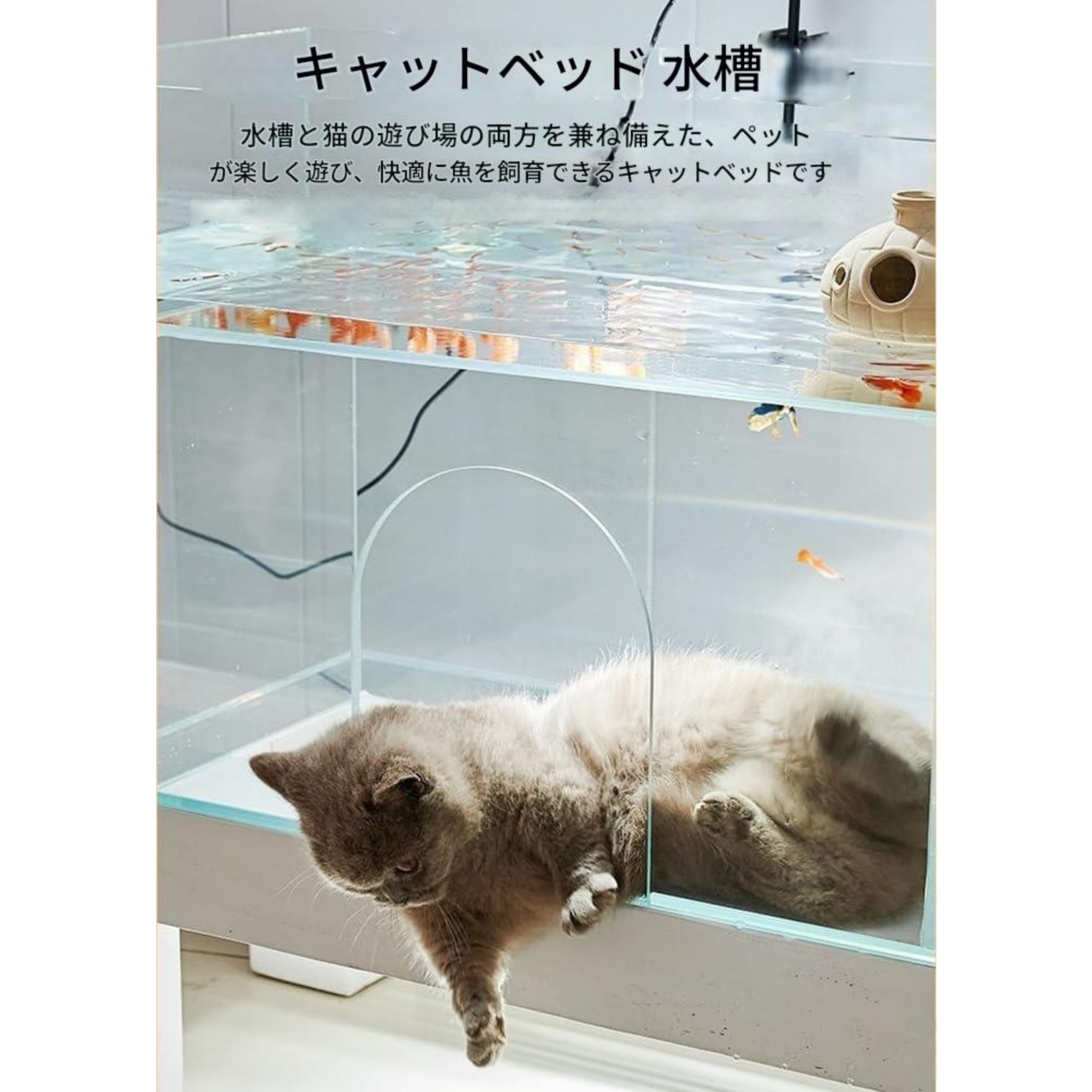 Amazon | Warayumi 猫用ガラス水槽 水族館 猫観賞用 超透明一体型 多