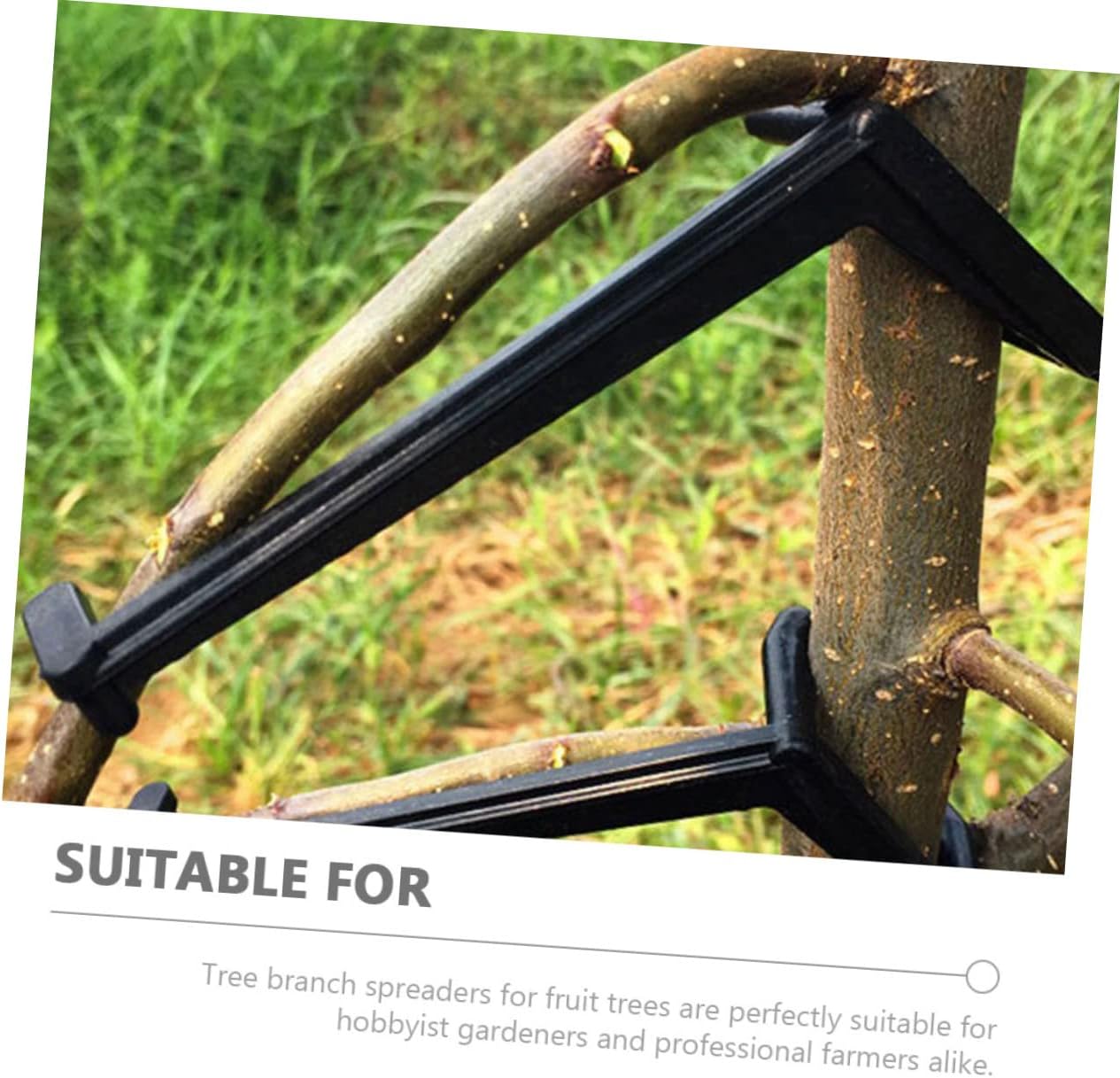 DOITOOL 100pcs Fruit Tree Branch Spreader Tool Supports for Training Fruit Trees Improve Growth Angle Sunlight Exposure Easy Installation for Garden Use