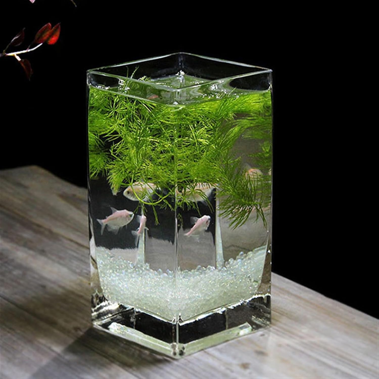 Fish Tank Fish Tank Square High Translucent Fighting Fish Tank with Wooden Base Tropical Fish Tank Thickened Glass Desktop Small Fish Tank Aquarium(Blue02)