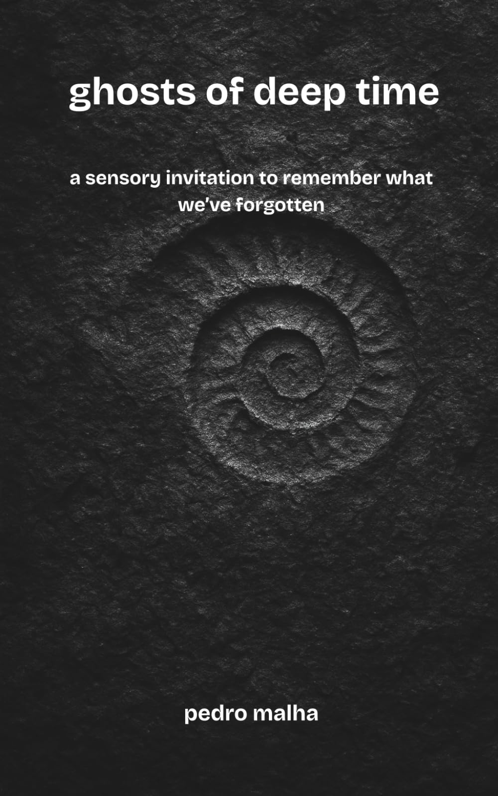 ghosts of deep time: a sensory invitation to remember what we’ve forgotten: 2 (The Ghosts Movement)