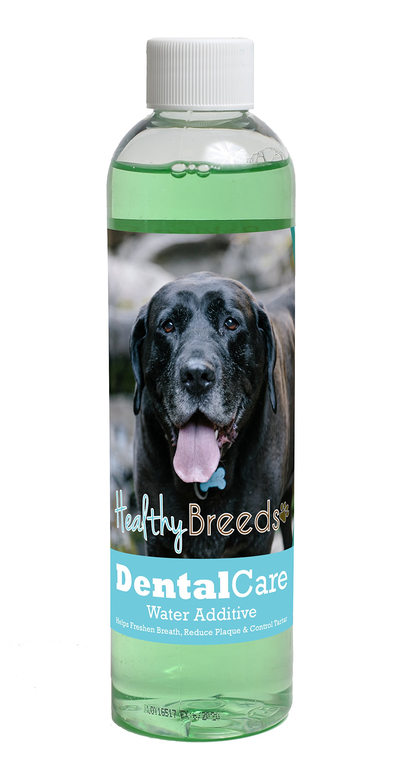 Healthy Breeds Dog Dental Care Water Additive for Mastador - Helps Freshen Breath, Reduce Plaque &amp; Control Tartar - Mint Flavor - 8 oz