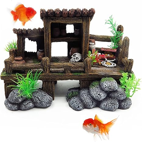 betta fish decor