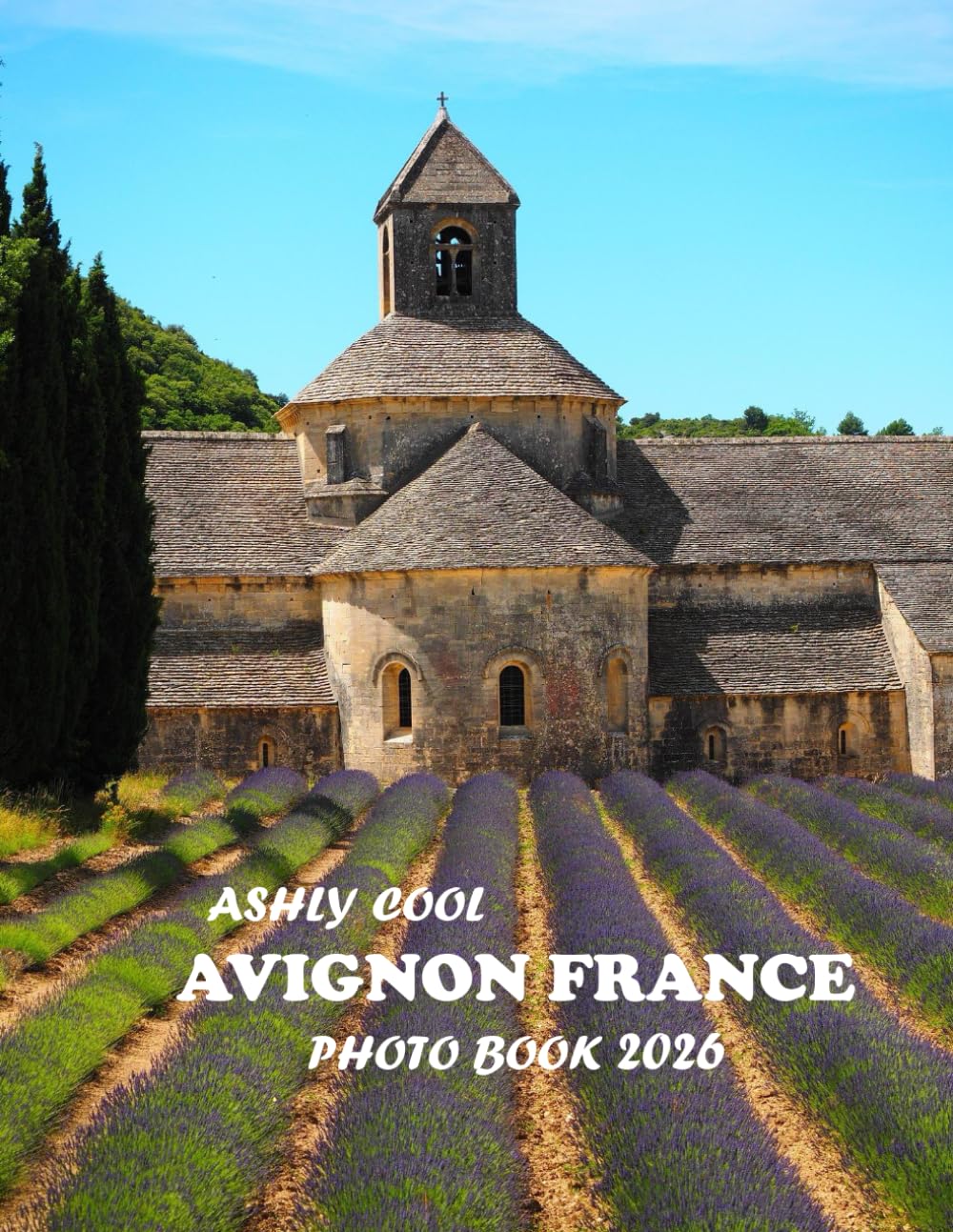 Avignon France: Avignon France : Cool Pictures That Create An Idea For You About Bordeaux- Perfect Gift for tourism & travel lovers.....Relaxing & Meditation.