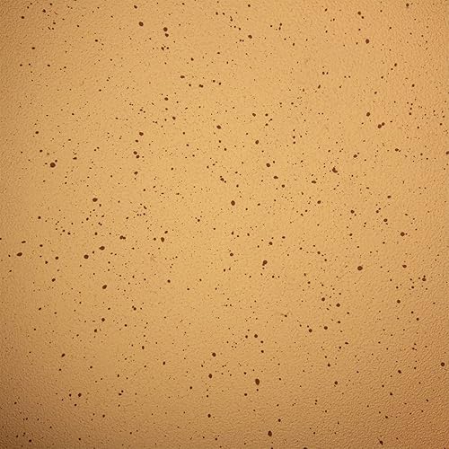 Miniatura 5 de Hamilton Beach HBV111 - Sartén de aluminio forjado de terracota de 11 pulgadas con revestimiento antiadherente con mango de baquelita, cobre