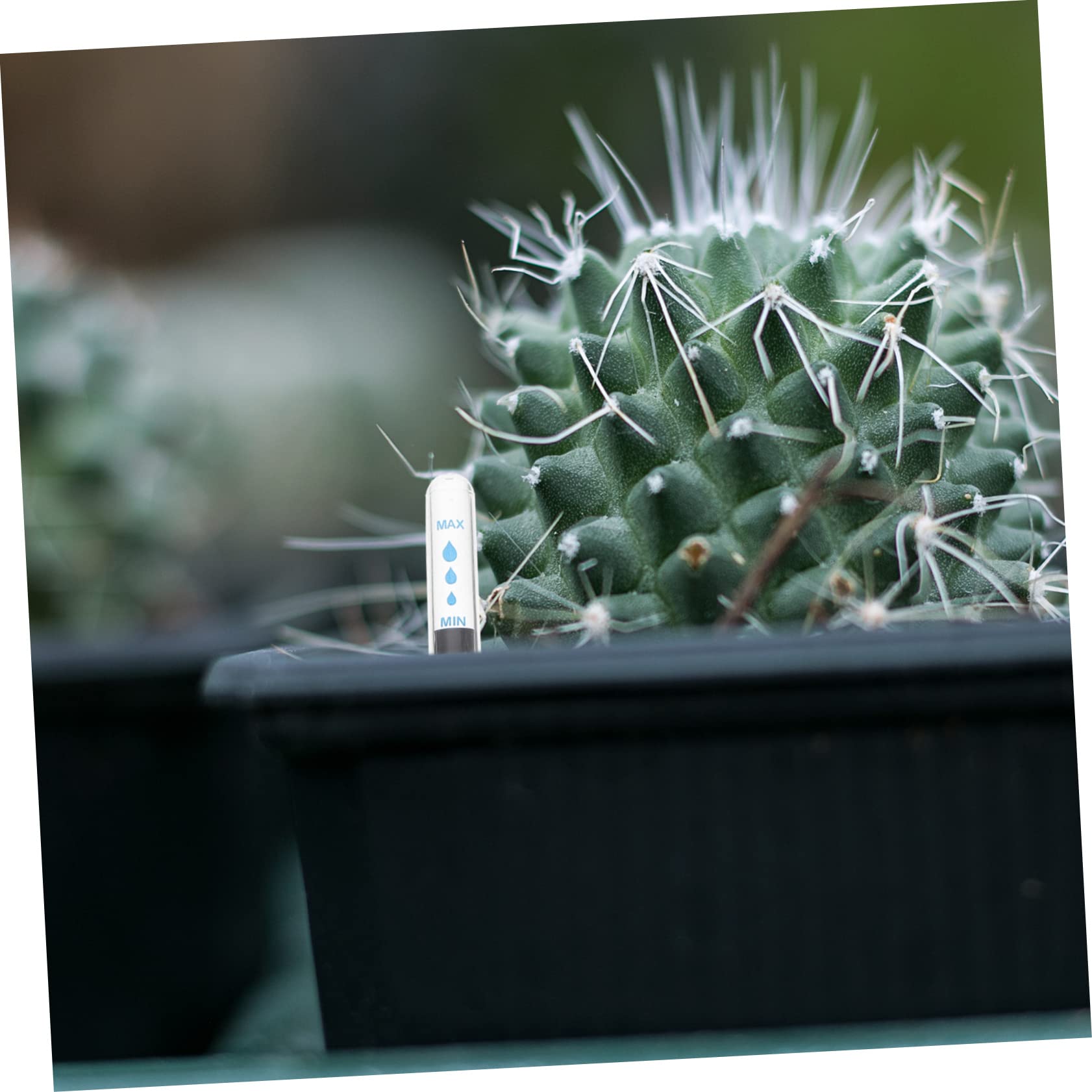 IWOWHERO Indoor Plant Water Gauge 4pcs Buoy Water Level Indicator for Flower Pots Easy to Read Scale